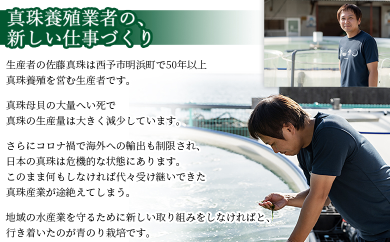 ＜打ち抜き海水で育てた「すじ青のり」（粉末3g×12パック）＞ 甲殻類アレルギーフリー 色づけ 香りづけ お好み焼き たこ焼き 焼きそば おはぎ ピザ お吸い物 茶碗蒸し 佐藤真珠 愛媛県 西予市