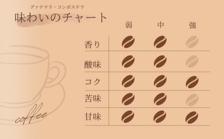 【自家焙煎】カフェ・フランドル グァテマラ・コンポステラ（200g・粉） 2025/9/19～