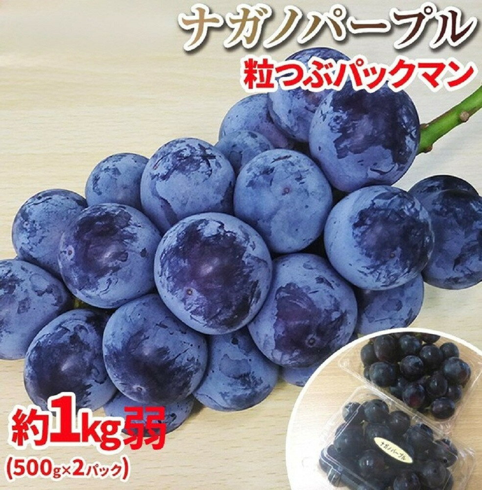 【ふるさと納税】【先行予約】2026　ナガノパープル　粒つぶパックマン2パック　約1kg弱　長野県産 【10月初旬頃～順次発送予定】国際特許有機肥料栽培 | フルーツ 果物 くだもの 食品 人気 おすすめ 送料無料