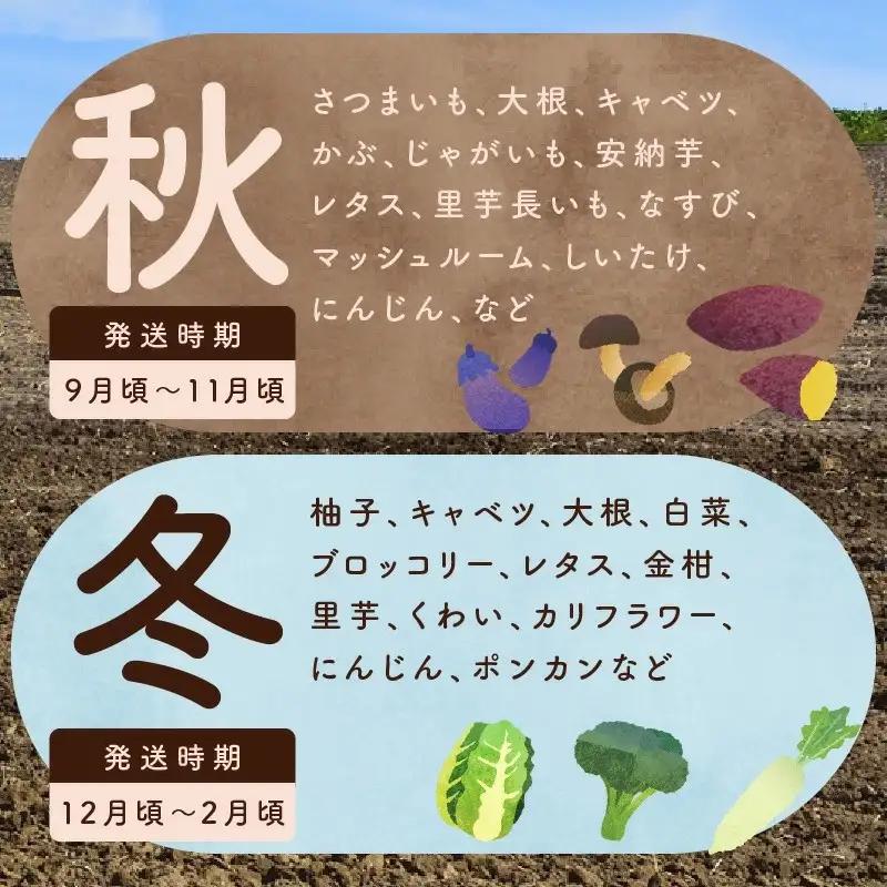 泉州野菜 定期便 15種類以上×全3回【毎月配送コース】