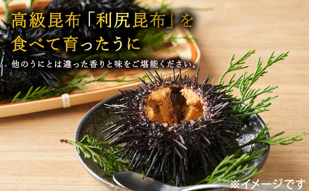 利尻昆布を食べておいしく育った「生むらさきうに」120ｇ