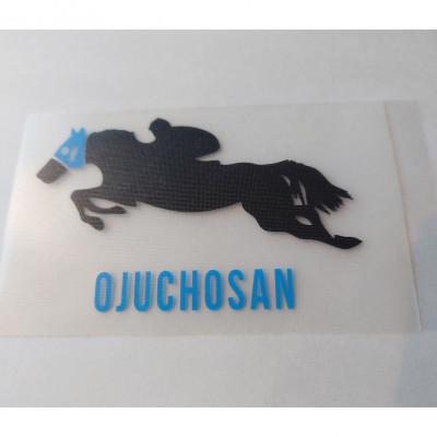 ふるさと納税 平取町 【オジュウチョウサン】カッティングステッカー(カラー)3枚入り