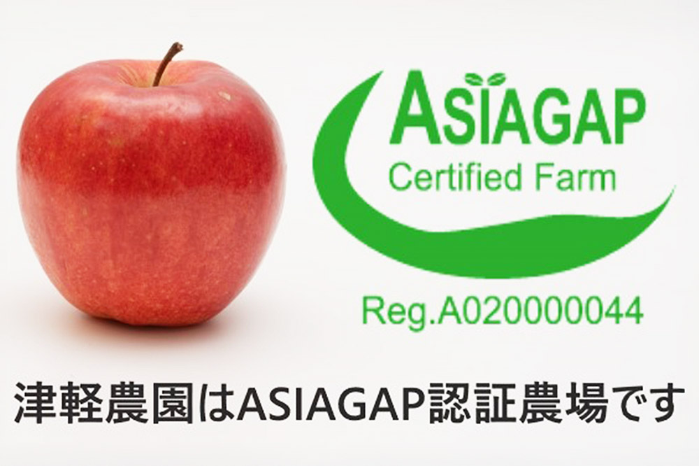 りんご 【糖度13度以上】サンふじ【家庭用】約10kg 26～40玉程度 ASIAGAP認証農場 津軽農園
