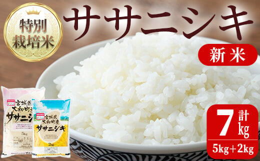 【令和6年産 新米】特別栽培米 ササニシキ 7kg  ta238【若木の里】