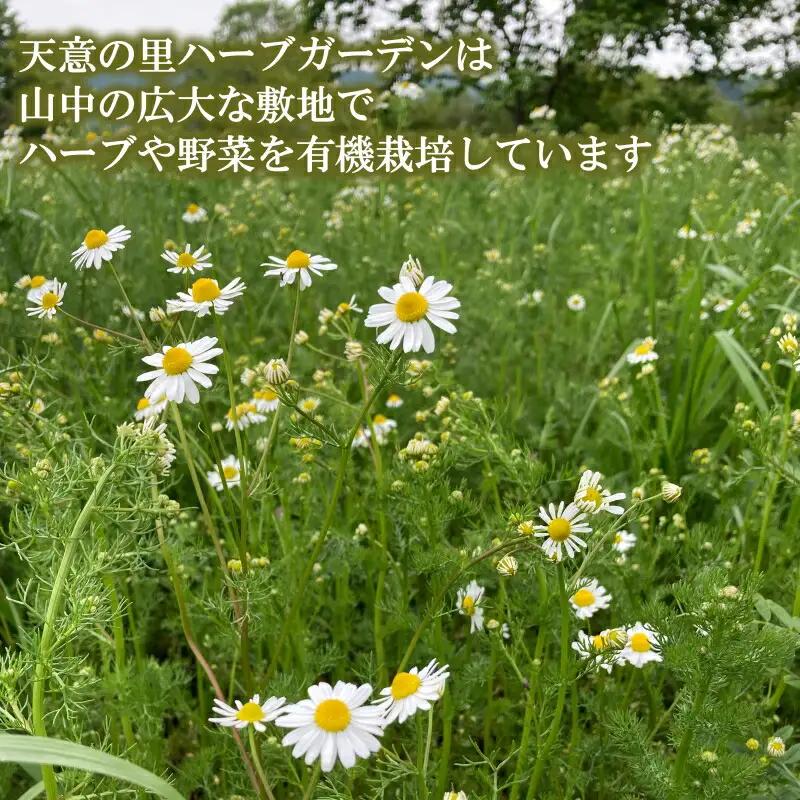 ハーブティー飲み比べセット　AI021_002