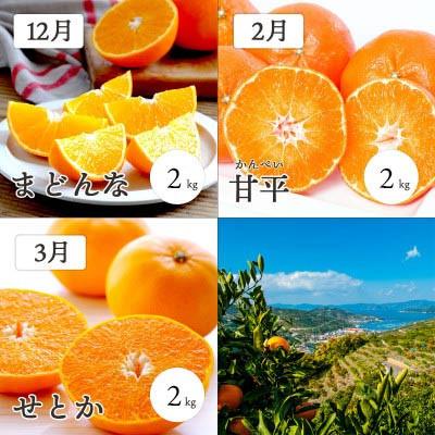 ふるさと納税 八幡浜市 【発送月固定定期便】愛媛の高級柑橘3品種!まどんな・甘平・せとか【訳あり】【H25-199】全3回 |  | 01