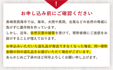 【☆先行予約☆】【数量限定】 ゆめのか いちご 約2kg（250g×8パック） 長崎 西海 イチゴ いちご 苺 ゆめのか いちご ＜川原農園＞ [CDR010]