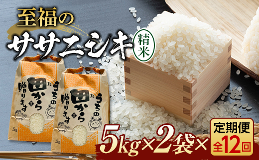 新米令和5年 『定期便』至福のササニシキ（精米）5kg×2袋 全12回 米 お米 おこめ ふるさと納税 山形県 新庄市 F3S-1598