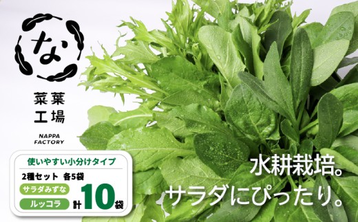 葉野菜 2種セット サラダ みずな ルッコラ | ほうれんそう ホウレンソウ 水菜 ミズナ 生食 野菜 セット 新鮮 健康 人気 おすすめ 高知県 南国市