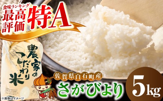 【令和7年産】さがびより（白米） 5kg 【かわさきいちご】  佐賀県 白石  令和8年発送[IBG018]