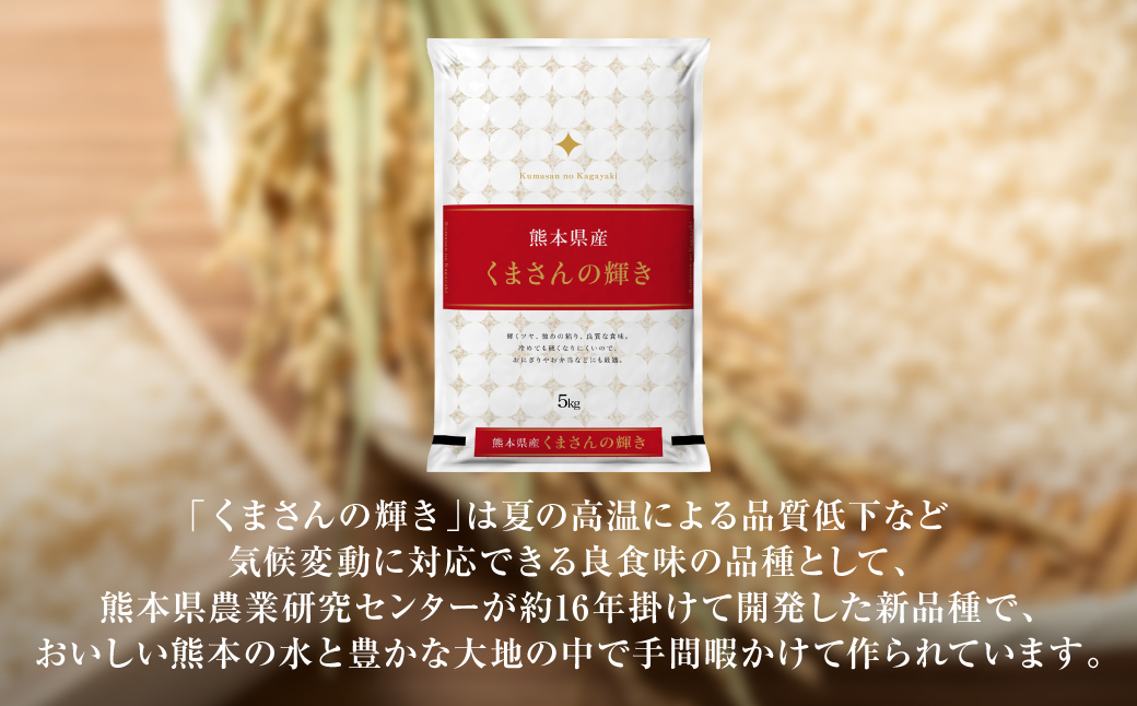 【令和7年産】 熊本県産 くまさんの輝き 5kg (5kg×1袋) 米 お米 精米 白米 ごはん ご飯 熊本