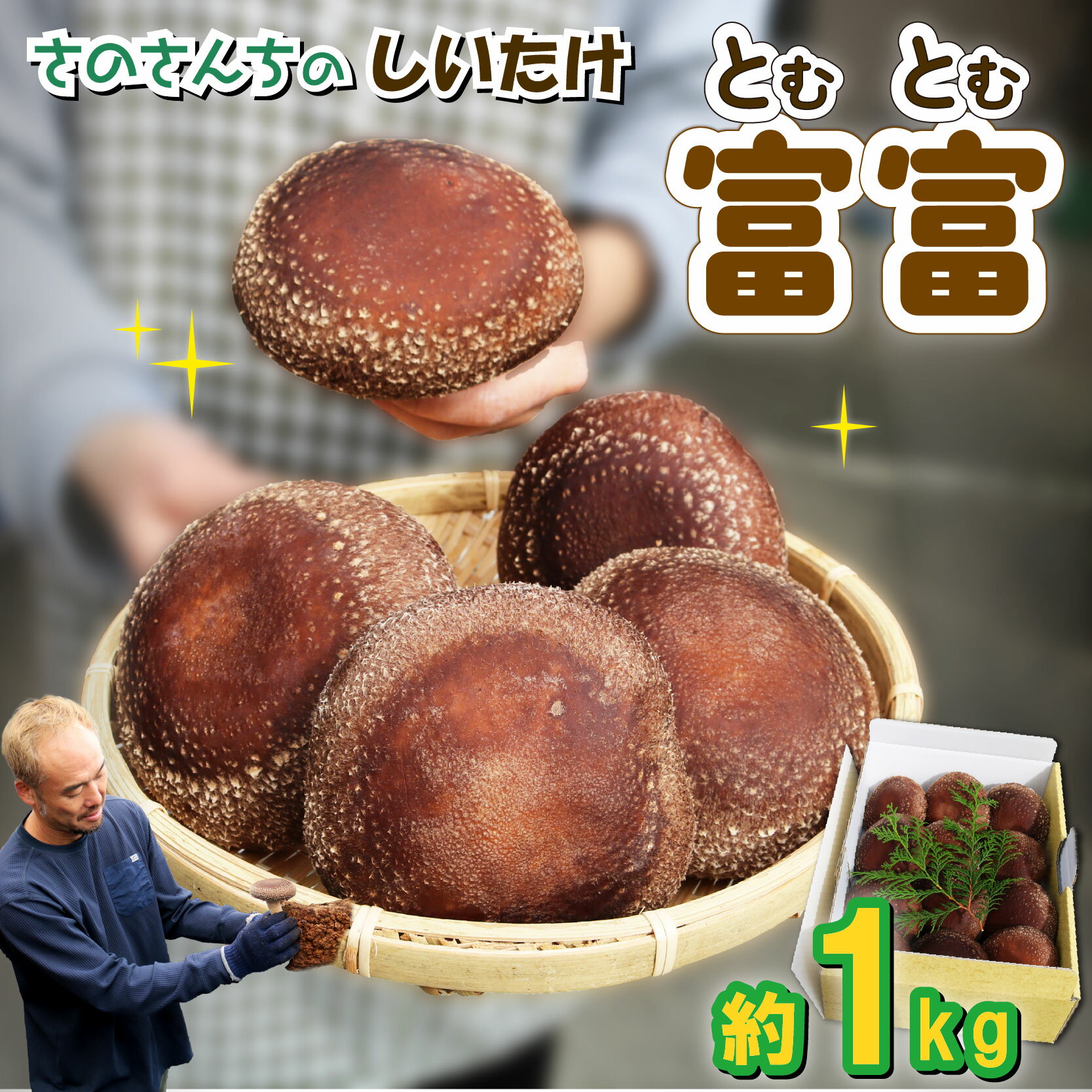 【ふるさと納税】 生 しいたけ 富富（とむとむ）約1kg さのさんち 椎茸 シイタケ 肉厚 ジューシー きのこ 静岡県 藤枝市 人気 野菜 旬 JGAP認証農場