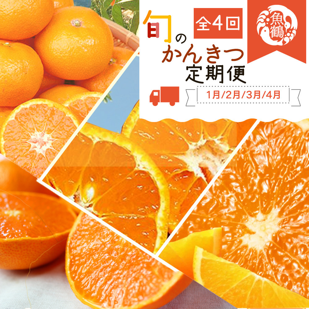 
            【4か月定期便】旬の柑橘定期便 / みかん ミカン 柑橘 オレンジ 果物 くだもの フルーツ フルーツ定期便 和歌山【tkb416】 
          