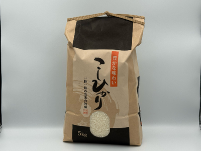 厳選多古米コシヒカリ　精米5kg　令和7年産_多古米 コシヒカリ 精米 令和7年産_【配送不可地域：離島】【1647790】 TAKF034