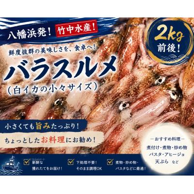 ふるさと納税 八幡浜市 竹中水産のバラスルメ2kg前後(小小サイズ)【D22-223】