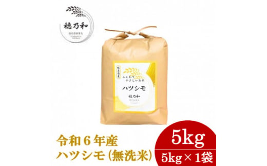 ＜先行予約＞岐阜県産ハツシモ(無洗米)5kg【1540849】