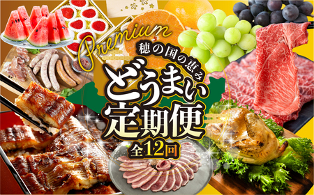 豊橋 どうまい 定期便 プレミアム 全12回定期便 鴨  / せとか / いちご / スイーツ定期便 / スイカ  / うなぎ / シャインマスカット /フルーツ定期便/ 惣菜定期便/ ちくわ / 牛肉 頒布会  1年 12か月定期便 