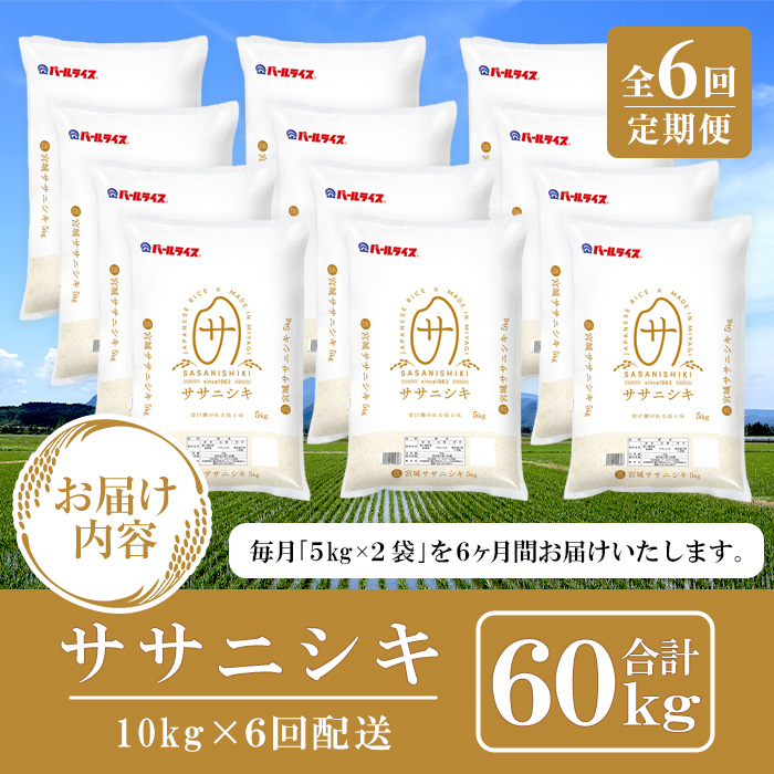 ＜6ヶ月定期便＞宮城県産 ササニシキ 合計60kg (10kg×6回) お米 おこめ 米 コメ 白米 ご飯 ごはん おにぎり お弁当 ブランド米 ささにしき 宮城米 頒布会【株式会社パールライス宮城】