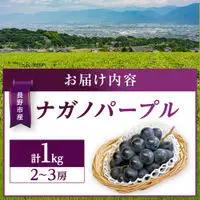 金オ岡村青果株式会社 長野市産 ナガノパープル1kg【2026年8月末以降出荷分】ナガノパープル | ぶどう ぶどう