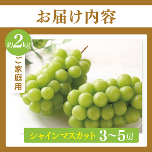 【先行予約】【数量限定】【2025年９月上旬～10月中旬発送】シャインマスカット家庭用約２kg（３～５房）【茨城県共通返礼品/石岡市】（MF-9）