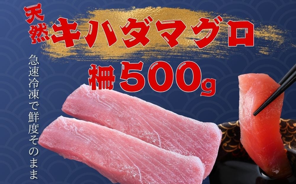 
            天然キハダマグロ 柵(500ｇ)　～海人からの贈り物～
          