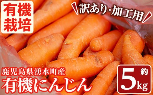 y503 ≪訳あり・数量限定≫湧水町産有機にんじん(約5kg) 国産 九州産 鹿児島産 有機野菜 有機栽培 にんじん 人参 ニンジン キャロットジュース 野菜 やさい おかず 旬 わけあり 訳アリ 不揃い 規格外 期間限定 数量限定 オーガニック 健康【そのやま農園】