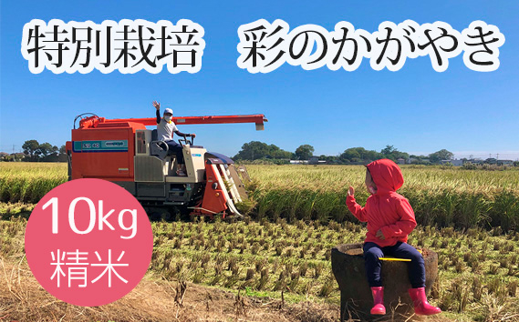 
                  特別栽培　彩のかがやき　精米10kg ／ お米 白米 埼玉県 特産品 No.480
                