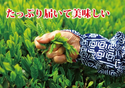085-3 牧之原・深蒸し茶1㎏ 