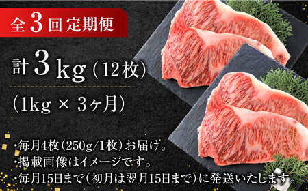 【全3回定期便】【溢れる肉汁と濃厚な旨味】博多和牛 サーロイン 1kg（250g×4枚） 広川町/株式会社MEAT PLUS[AFBO010]