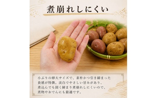 じゃがいも 5kg ごうしゅういも 小粒 秀品 いも ジャガイモ 馬鈴薯 ポテト 煮物 おでん でこまわし ごうしゅいも 源平いも ポテトサラダ ポテサラ 贈答 おすそ分け ホクホク 甘い 野菜 送料