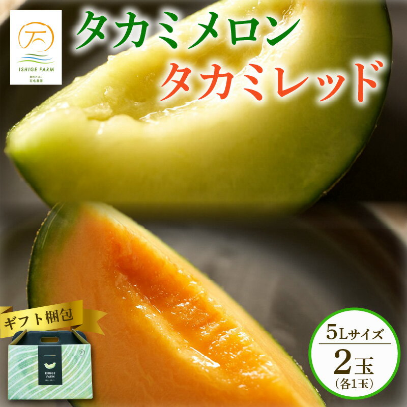 【ふるさと納税】 ＜2025年 先行予約 ＞ 贈答用 タカミメロン 青肉 赤肉 セット 5L×1玉 6月 7月 発送 産地直送 食べ比べ 高級 糖度 タカミ タカミレッド 飯岡メロン ブランドメロン 贈り物 贈答 ギフト プレゼント 果物 フルーツ おすすめ 千葉県 旭市 石毛農園