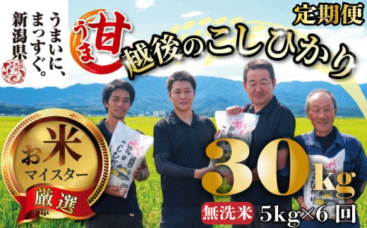 【令和6年産】 新米 無洗米 コシヒカリ 定期便 5kg 6ヵ月 30kg 甘うま越後のこしひかり 越後 えちご  特別栽培米 新潟 コメ こめ お米 米 しんまい 新潟県 新潟米 新発田市 新発田産