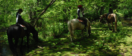 お手軽に乗馬レッスンと外乗のセットプラン 大人1名様