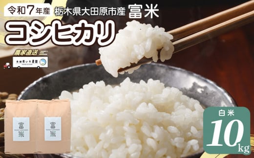 【先行予約】≪10月中旬以降発送≫令和7年産 栃木県大田原市産コシヒカリ「富米」 白米 10キロ ｜米 お米 新米 コメ こしひかり 10kg