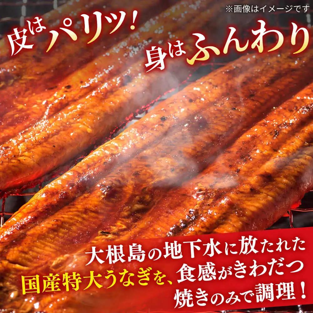 【6回定期便】うなぎ老舗専門店のパリっとふっくら国産うなぎ 蒲焼カット4食セット(蒲焼のタレ付き) 島根県松江市/株式会社山美世商会[ALDC020]