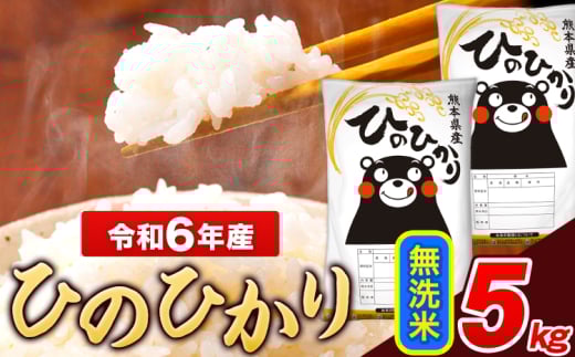 米 令和6年産 ひのひかり 無洗米 5kg 《7-14日以内に出荷予定(土日祝除く)》  5kg×1袋 熊本県産 米 精米 ひの 長洲町