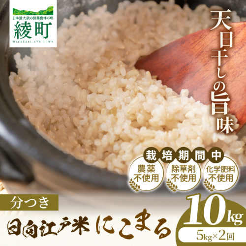 【2か月定期便】天日干しが引き出す お米の旨味 日向江戸米（にこまる）【分つき】合計10kg 国産米 ブランド米 農薬不使用 化学肥料不使用 無農薬 ごはん ご飯 おにぎり お弁当 冷めても美味しい 精米したて 和食 主食 人気 おすすめ 宮崎県 綾町 送料無料_A0038-044