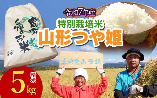 【令和7年産】特別栽培米つや姫 精米 5kg　山形県鶴岡市　庄内丸山農場　| つやひめ 5キロ 米どころ 庄内米 ブランド米 米 コメ こめ 精米 ご飯 ごはん 美味しい お取り寄せ 農家直送 東北 山形 鶴岡市 国産 おすすめ 人気 返礼品