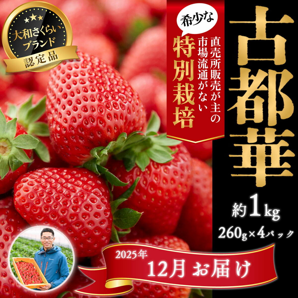 【ふるさと納税】＜2025年12月発送＞減農薬いちご「古都華」4パック 特別栽培農産物／奈良県 苺 12月発送 先行予約 ジャム 数量限定 期間限定 ブランド 大福 人気 減農薬 特別栽培 Odamaki農園