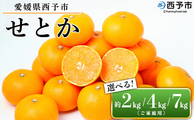 
愛媛県西予市産 せとか ご家庭用 約2kg／4kg／7kg　訳あり 不揃い 傷 果物 フルーツ みかん ミカン 蜜柑 セトカ オレンジ 柑橘類 選べる 甘い 期間限定 食べて応援 特産品 宇都宮物産 【常温】
