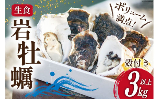 【期間限定発送】 岩牡蠣 生食 3kg 以上 [天洋丸 長崎県 雲仙市 item1907] 牡蠣 かき カキ 冷凍 いわがき 岩がき 殻付 殻付き 先行予約