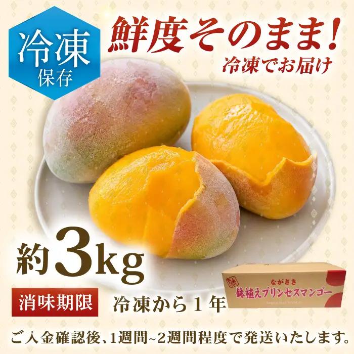 【冷凍】プリンセスマンゴー 約3kg[QAT014] マンゴー
