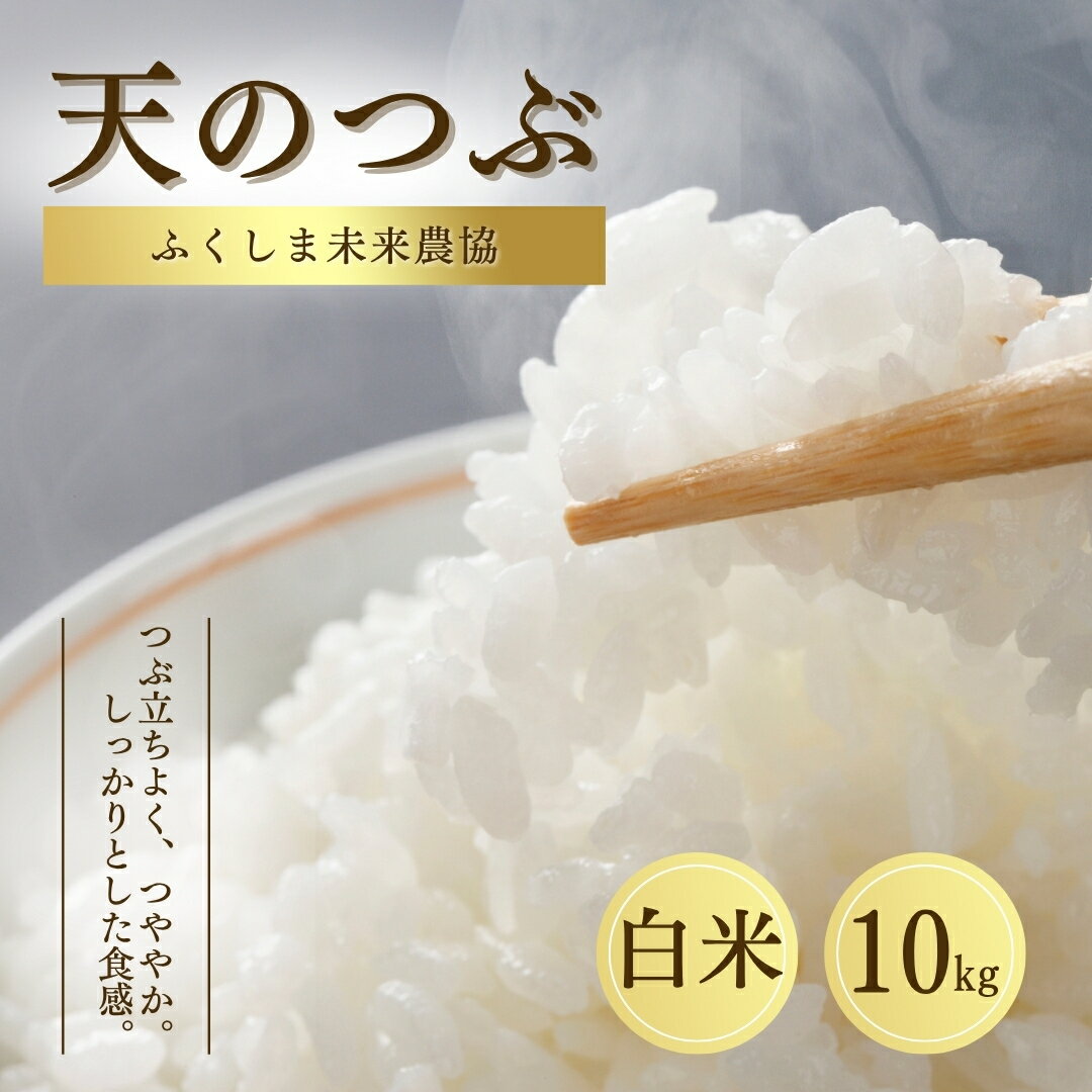 【ふるさと納税】白米 10kg 天のつぶ 令和7年産 | 精米コメ ごはん ブランド米 大粒 福島 福島県産 南相馬 ふくしま未来農協 JA