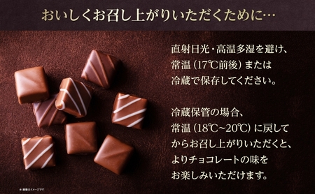 ボンボンショコラ 10粒 セット チョコレート チョコ ボンボン ショコラ スイーツ 菓子 おやつ 洋菓子 製菓 ショコラティエ オリジナル 贈り物 ギフト お取り寄せ 送料無料 ザ・ウィンザーホテル