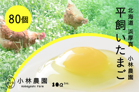 平飼い有精卵 80個【常温便】たまご たまご たまご たまご [AXAN121]