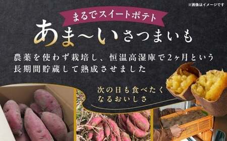 2ヶ月熟成あま～いサツマイモ　シルクスイート2㎏  FCAC023