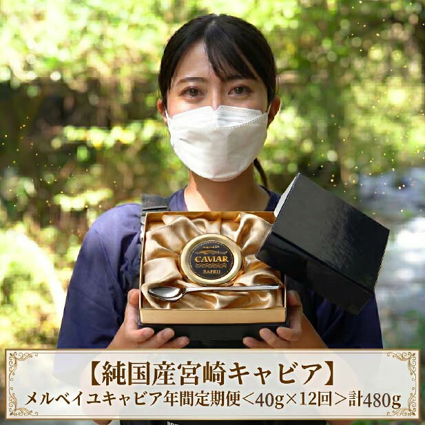 【ふるさと納税】【定期便：年12回】【純国産宮崎キャビア】メルベイユキャビア年間定期便　合計480g＜40g×12回＞キャビア 定期便 チョウザメの卵 チョウザメ 魚介 魚卵 おつまみ ふるさと 人気 おすすめ 贈答 ギフト お裾分け プレゼント 宮崎県 小林市 送料無料