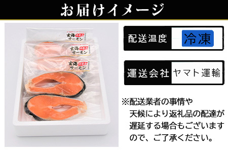 「母の日」玄海サーモンステーキカット切身 200g×3パック(合計600g) おさかな村 お弁当 おかず