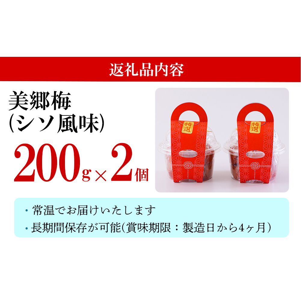 南高梅 梅干し 美郷梅 シソ風味 200g×2 3Lサイズ 塩分控えめ A級品 [農林産物直売所 美郷ノ蔵 宮崎県 美郷町 31ab0110] 国産 宮崎県産 美郷産 常温 送料無料 贈り物 贈答品_