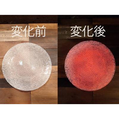 ふるさと納税 多治見市 【暗闇に輝く、卓上の新たな魔法】ルミナスシリーズ プレート (大) レッド